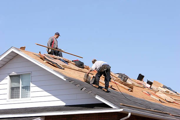 Best Asphalt Shingles Roofing  in Minersville, PA